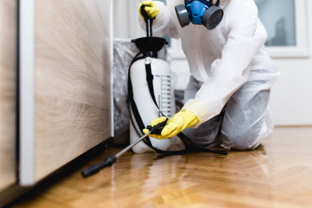 Best Rat Extermination Near Me  in Girard, PA