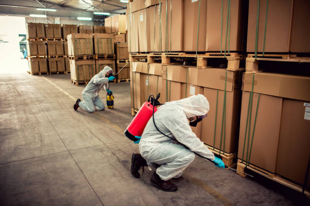 Reliable Girard, PA Pest Control Solutions