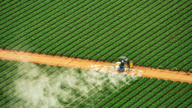 Best Pest Removal Services  in Girard, PA