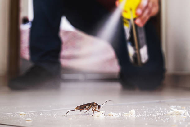 Best Pest Removal Services  in Girard, PA