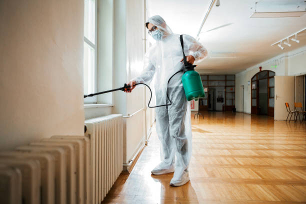 Best Pest Control Near Me in Girard, PA