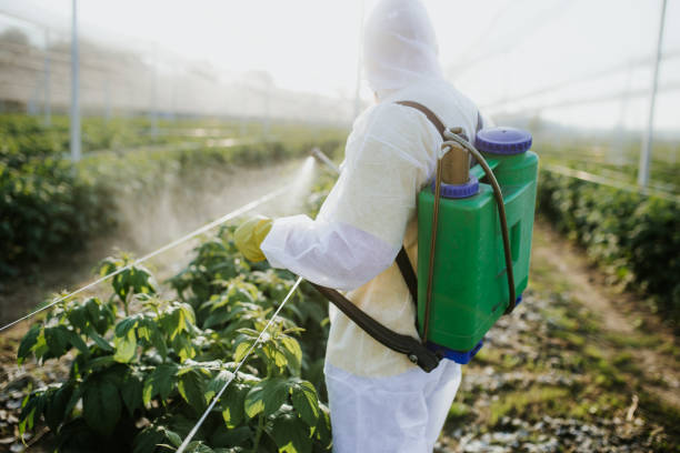 Best Pest Prevention Services  in Girard, PA